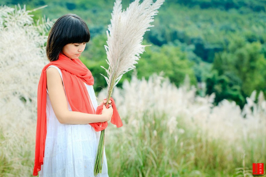 【人物】秋季美女素材《葦花情深》