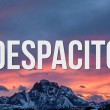 【一起來洗腦】西班牙洗腦神曲《Despacito》器樂演奏多版本